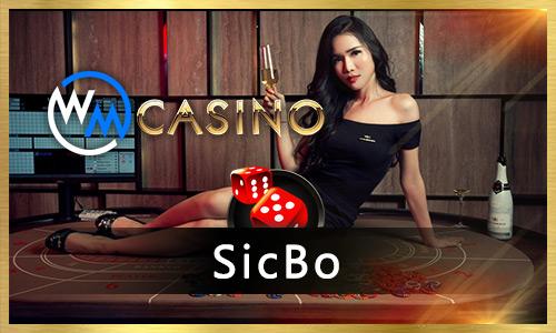q bet cassino entretenimento